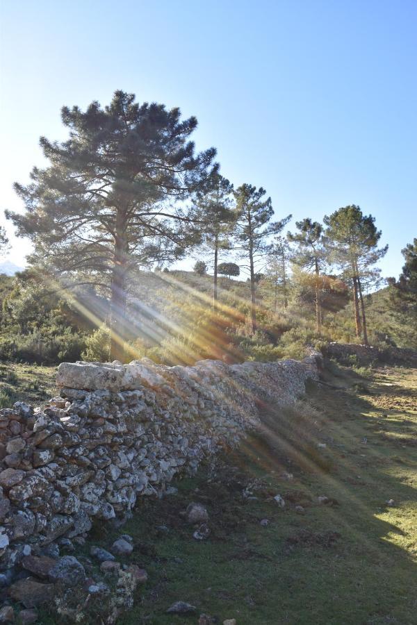 Domaine U Filanciu - Casa Chiara - Centru Di Corsica Villa Moltifao Eksteriør billede