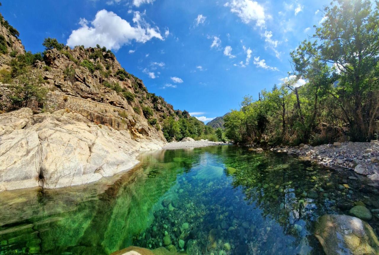 Domaine U Filanciu - Casa Chiara - Centru Di Corsica Villa Moltifao Eksteriør billede